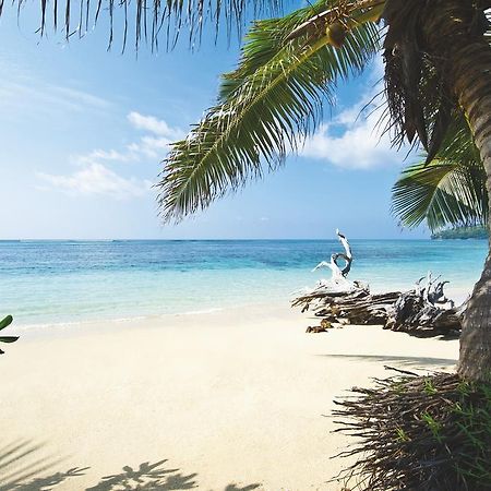 New Emerald Cove Hotel Baie Sainte Anne Zewnętrze zdjęcie
